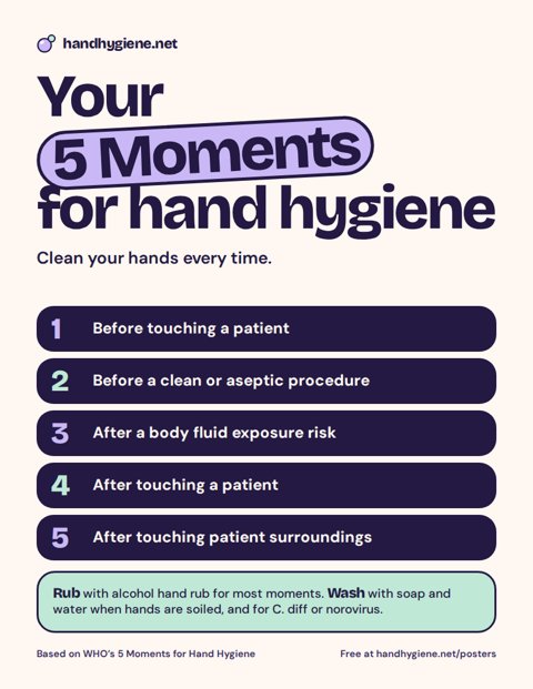 Preview of the “Your 5 Moments for hand hygiene” poster